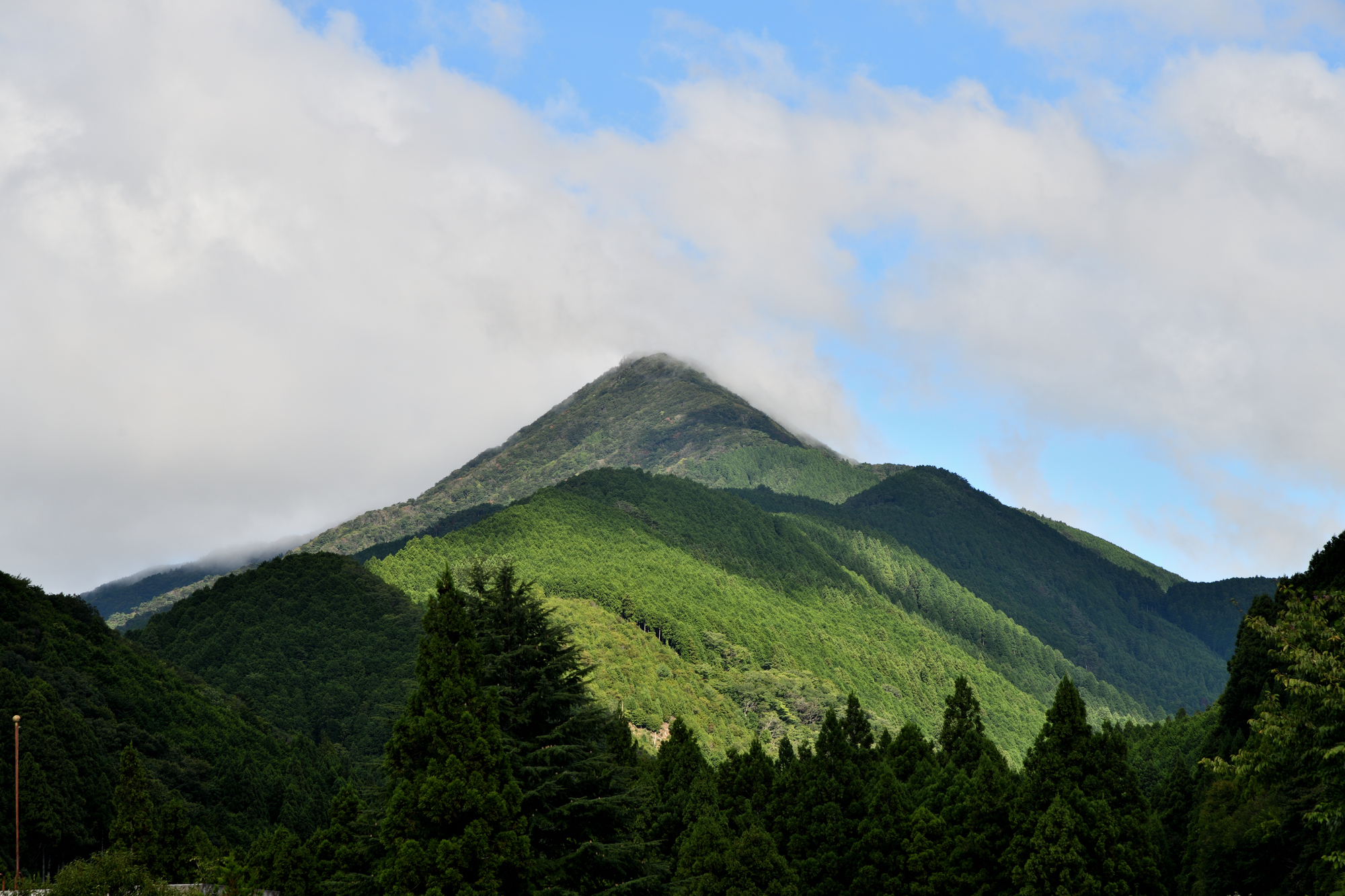 高見山