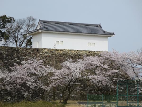 亀山城跡