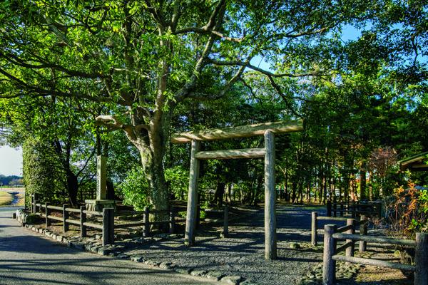 史跡公園斎王の森