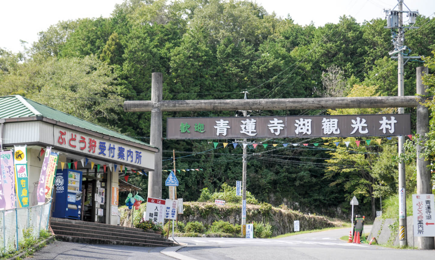 青蓮寺湖観光村
